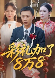 【彩礼加了8万8（54集）】爆款短剧全集免费看-第1张图片-热搜短剧最新分享