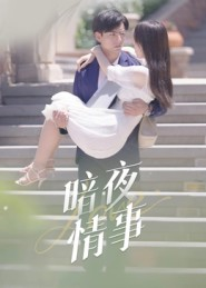 【暗夜情事（100集）】热门短剧在线免费追-第1张图片-热搜短剧最新分享