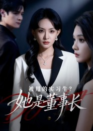 【被甩的实习生？她是董事长！（59集）】爆款短剧全集免费点播-第1张图片-热搜短剧最新分享