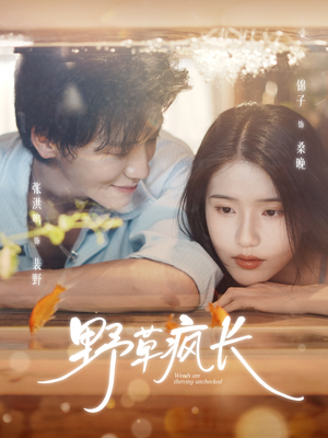 【野草疯长（71集）】热门短剧全集在线速览-第1张图片-热搜短剧最新分享