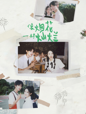 【像烟花一样灿烂（60集）】超燃短剧免费畅享全集-第1张图片-热搜短剧最新分享