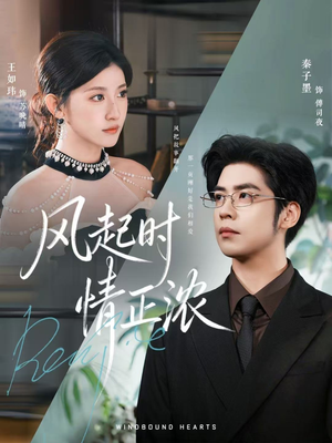 【风起时情正浓（79集）】热门短剧免费观看无广告-第1张图片-热搜短剧最新分享