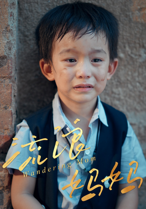 【流浪妈妈（30集）】高清短剧在线尽情观赏-第1张图片-热搜短剧最新分享