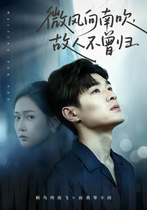 【微风向南吹，故人不曾归（72集）】完整短剧全集免费放送-第1张图片-热搜短剧最新分享
