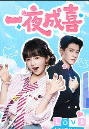 【一夜成喜（60集）】精彩短剧免费全集看个够-第1张图片-热搜短剧最新分享