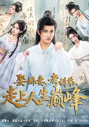 【娶娇妻，考科举，走上人生巅峰（80集）】热门短剧完整高清播放-第1张图片-热搜短剧最新分享