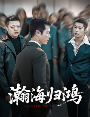 【瀚海归鸿（74集）】免费短剧全集高清播放-第1张图片-热搜短剧最新分享