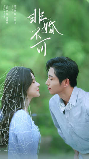 【非婚不可（65集）】短剧全集高清免费观赏-第1张图片-热搜短剧最新分享