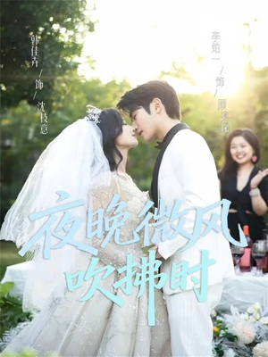 【夜晚微风吹拂时（61集）】优质短剧在线完整追剧-第1张图片-热搜短剧最新分享