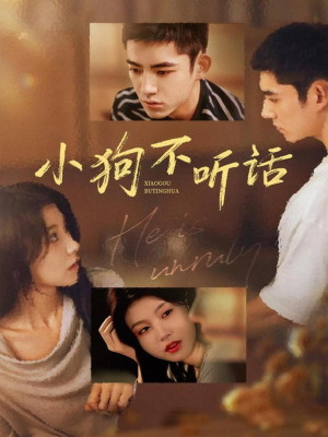 【小狗不听话(70集)】短剧全集免费在线赏-第1张图片-热搜短剧最新分享 【小狗不听话(70集)】短剧全集免费在线赏-第1张图片-热搜短剧最新分享