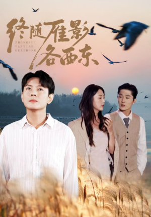【终随雁影各西东（86集）】短剧免费全集在线览-第1张图片-热搜短剧最新分享
