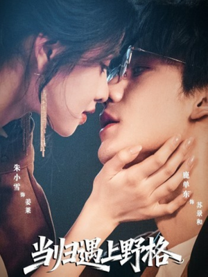 【当归遇上野格（66集）】优质短剧完整剧情在线赏-第1张图片-热搜短剧最新分享