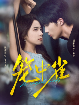 【笼中雀（65集）】精彩短剧在线完整播放-第1张图片-热搜短剧最新分享