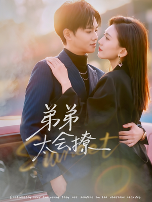 【弟弟太会撩（81集）】在线短剧完整版免费享-第1张图片-热搜短剧最新分享