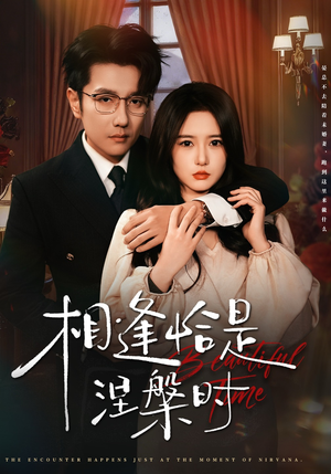 【相逢恰是涅槃时（63集）】短剧全集免费在线览-第1张图片-热搜短剧最新分享