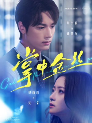 【长姐她竟是隐藏大佬（60集）】短剧免费完整版速观-第1张图片-热搜短剧最新分享