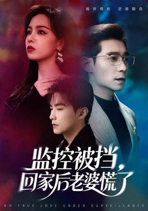 【监控被挡，回家后老婆慌了（60集）】在线短剧免费全集追-第1张图片-热搜短剧最新分享