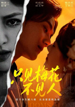 【只见梅花不见人（63集）】免费短剧全集一网打尽-第1张图片-热搜短剧最新分享