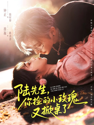 【陆先生,你捡的小玫瑰又掀桌了(74集)】爆款短剧全集免费看不停-第1张图片-热搜短剧最新分享 【陆先生,你捡的小玫瑰又掀桌了(74集)】爆款短剧全集免费看不停-第1张图片-热搜短剧最新分享