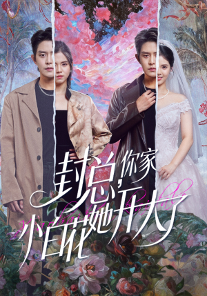 【大佬你的牙粘口红了（60集）】热门短剧在线免费播放-第1张图片-热搜短剧最新分享