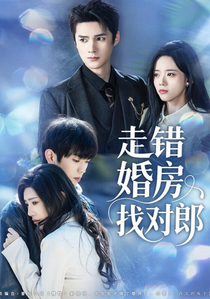 【走错婚房找对郎（50集）】短剧全集免费在线速览-第1张图片-热搜短剧最新分享