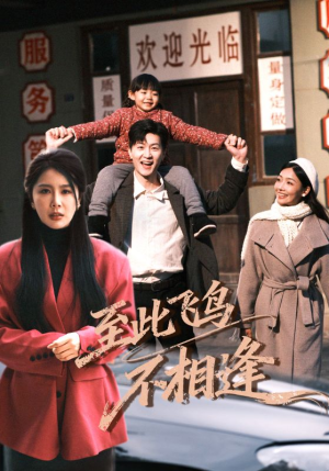 【至此飞鸟不相逢（70集）】短剧免费高清在线观瞧-第1张图片-热搜短剧最新分享