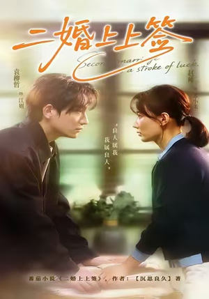 【二婚上上签（71集）】免费短剧全集随心看-第1张图片-热搜短剧最新分享