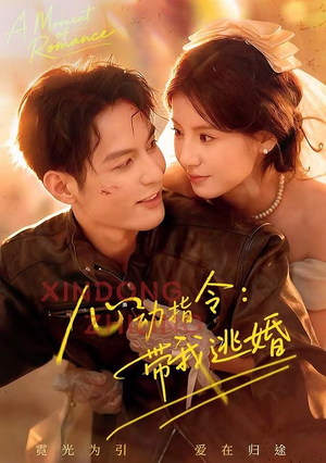 【心动指令：带我逃婚（61集）】短剧高清免费在线追剧-第1张图片-热搜短剧最新分享