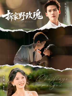 【拆家野玫瑰（80集）】热门短剧高清全集免费播-第1张图片-热搜短剧最新分享