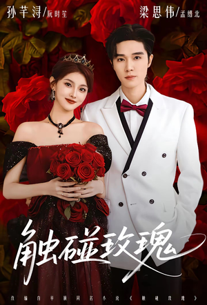 【触碰玫瑰（80集）】短剧全集免费快速观看-第1张图片-热搜短剧最新分享