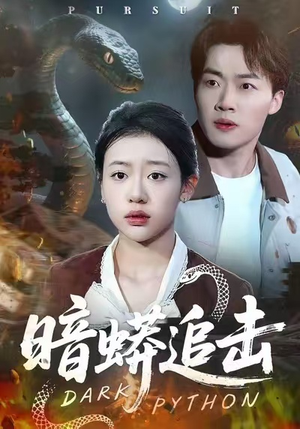 【暗蟒追击（35集）】在线看短剧全集不卡顿-第1张图片-热搜短剧最新分享