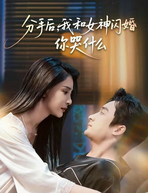 【悲欢离合总无情（80集）】免费短剧在线一看到底-第1张图片-热搜短剧最新分享