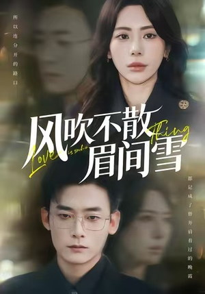 【风吹不散眉间雪（77集）】热门短剧免费在线畅享-第1张图片-热搜短剧最新分享