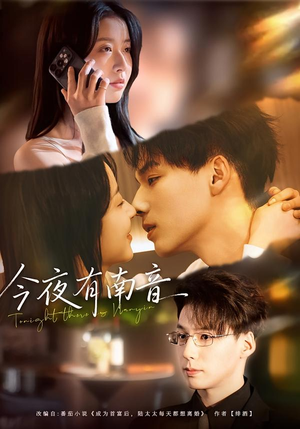 【今夜有南音（59集）】高分短剧在线流畅观看-第1张图片-热搜短剧最新分享