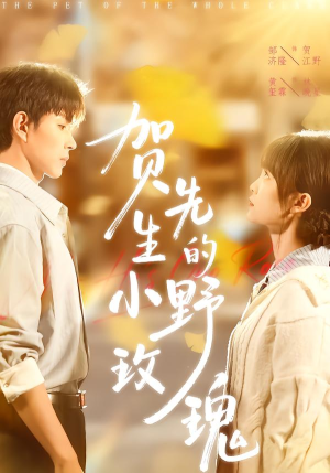 【贺先生的小野玫瑰（99集）】高分短剧全集在线直看-第1张图片-热搜短剧最新分享