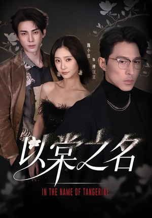 【以棠之名（66集）】免费短剧全集随时观看-第1张图片-热搜短剧最新分享