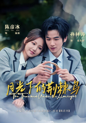 【月光下的荆棘鸟(80集)】高分短剧完整版在线赏-第1张图片-热搜短剧最新分享 【月光下的荆棘鸟(80集)】高分短剧完整版在线赏-第1张图片-热搜短剧最新分享