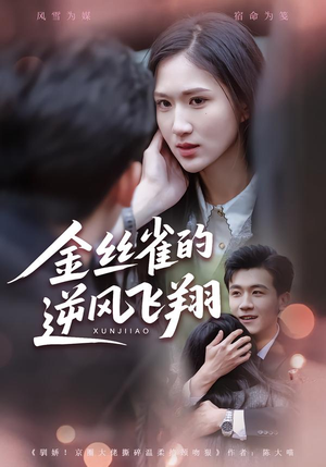 【金丝雀的逆风飞翔（80集）】必看短剧免费在线播放-第1张图片-热搜短剧最新分享