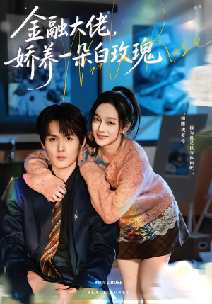【金融大佬，娇养一朵白玫瑰（70集）】短剧全集免费畅享观看-第1张图片-热搜短剧最新分享