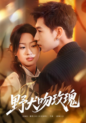 【野犬吻玫瑰(70集)】短剧完整版高清在线速看-第1张图片-热搜短剧最新分享 【野犬吻玫瑰(70集)】短剧完整版高清在线速看-第1张图片-热搜短剧最新分享