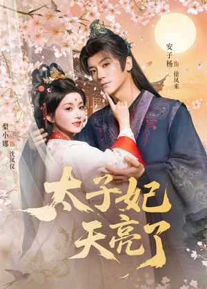 【太子妃天亮了（80集）】短剧全集免费在线追更-第1张图片-热搜短剧最新分享