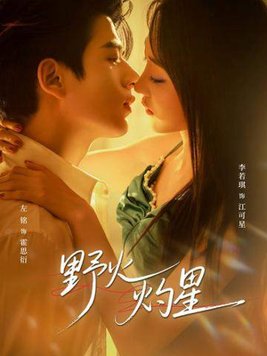 【野火灼星(56集)】短剧全集免费高清观看-第1张图片-热搜短剧最新分享 【野火灼星(56集)】短剧全集免费高清观看-第1张图片-热搜短剧最新分享