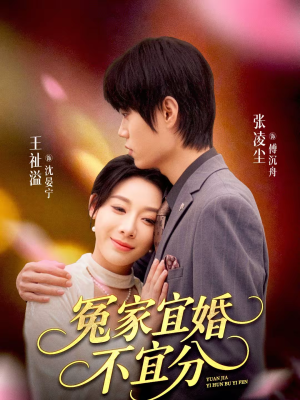 【冤家宜婚不宜分（80集）】免费短剧完整版在线赏-第1张图片-热搜短剧最新分享