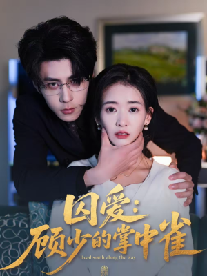 【囚爱：顾少的掌中雀（70集）】热门短剧全集免费畅享-第1张图片-热搜短剧最新分享