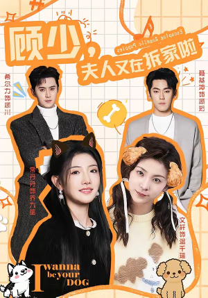 【顾少，夫人又在拆家啦（78集）】超火短剧完整版免费看-第1张图片-热搜短剧最新分享