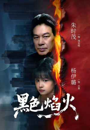 【黑色焰火（41集）】短剧全集高清免费点播-第1张图片-热搜短剧最新分享