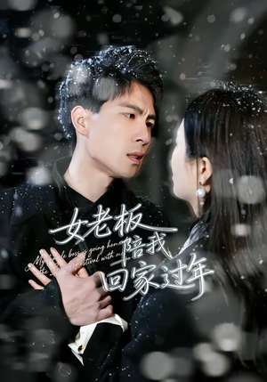 【女老板陪我回家过年（40集）】热门短剧在线高清观看-第1张图片-热搜短剧最新分享